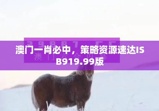 澳门一肖必中,策略资源速达ISB919.99版