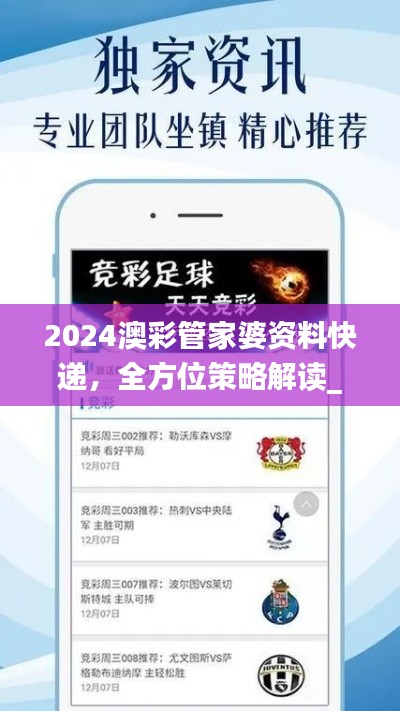 2024澳彩管家婆资料快递,全方位策略解读_MLE664.33精编版