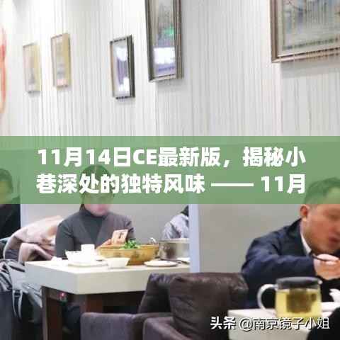 11月14日CE最新版,小巷深处的独特风味探秘