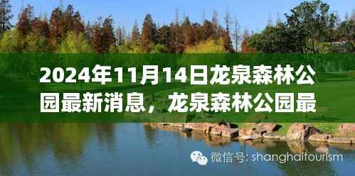 揭秘龙泉森林公园未来规划与发展蓝图(最新消息报道)