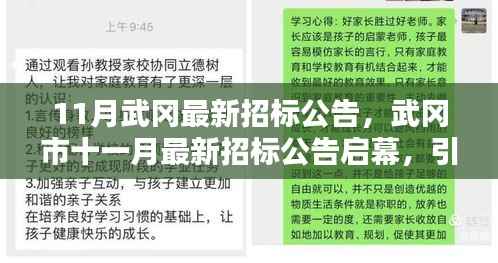 武冈市最新招标公告启幕，引领新一轮投资热潮，十一月招标信息一览