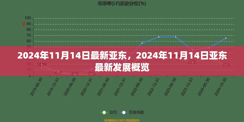 亚东发展概览,最新进展与未来展望(2024年11月14日)