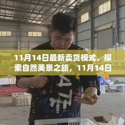 11月14日新卖货模式,自然美景之旅,探寻内心宁静与平和的启程