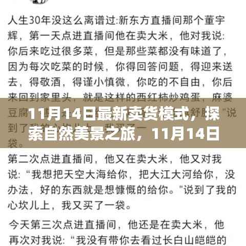 11月14日新卖货模式,自然美景之旅,探寻内心宁静与平和的启程
