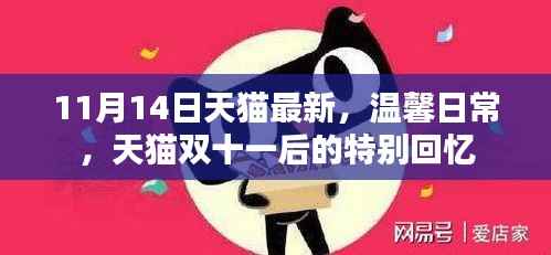 天猫双十一后的特别回忆,温馨日常的最新篇章(11月14日更新)