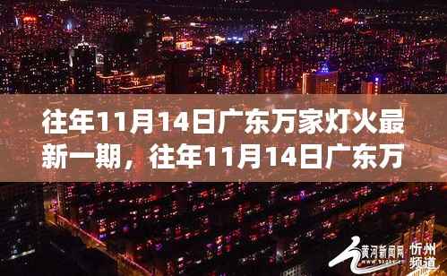 往年11月14日广东万家灯火最新一期深度评测,产品特性与用户体验解析
