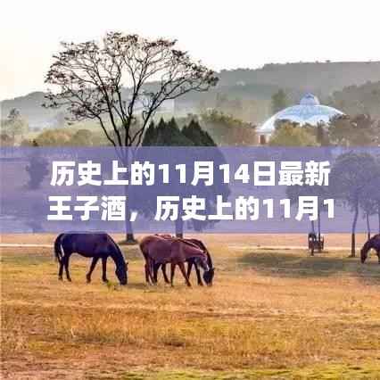 历史上的11月14日,王子酒引领自然之旅,探寻内心平和之路
