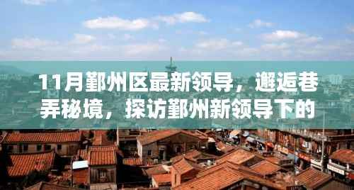 探访鄞州新领导下的隐藏瑰宝,揭秘领导团队与巷弄秘境的邂逅