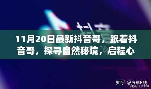 跟随抖音哥探寻自然秘境,启程心灵之旅的最新篇章(11月20日更新)