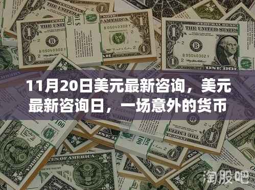 美元最新咨询日,意外货币之旅与友情深化纪事