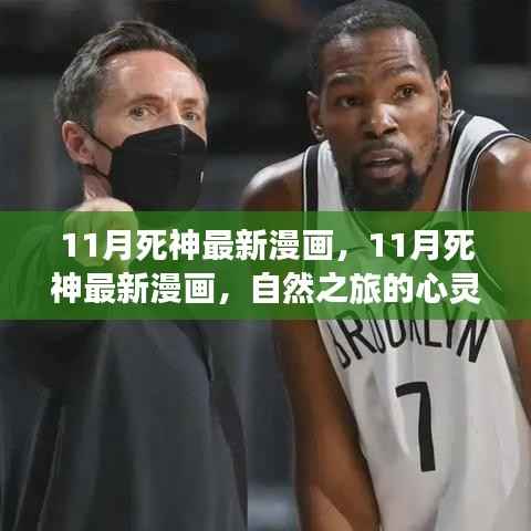 11月死神最新漫画,心灵觉醒的自然之旅与幽默相伴