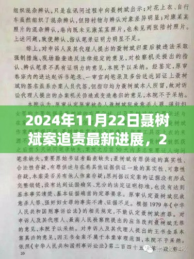 聂树斌案追责最新进展,正义的脚步与时代的回响(2024年11月22日)