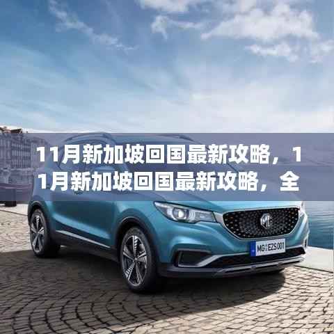 全面解读,11月新加坡回国攻略,特性、体验与竞品对比分析