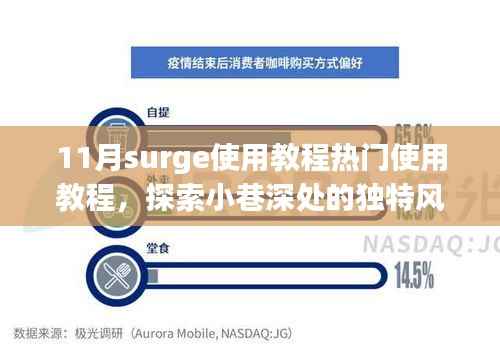 Surge使用教程与美食探索,小巷深处的独特风味与隐藏美食小店揭秘