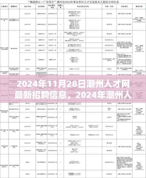 2024年潮州人才网最新招聘信息全面解析