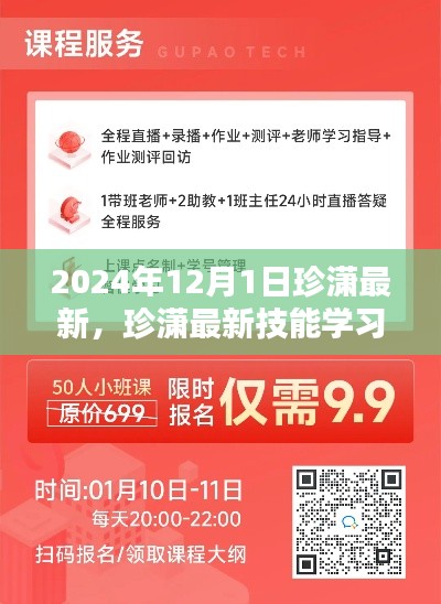 珍潇最新技能学习指南,从初学者到进阶用户的逐步掌握(2024年12月版)