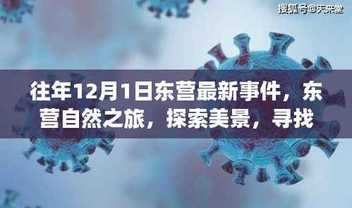 东营自然之旅,探索美景,寻找内心的宁静与平和——往年12月最新事件回顾
