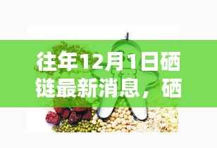 硒链革新引领科技生活新纪元,历年12月1日最新动态揭秘