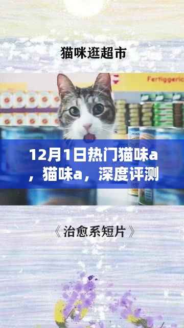 猫味a深度评测与介绍,全新体验来袭
