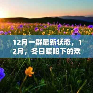 12月欢乐时光，冬日暖阳下的最新状态