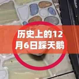 揭秘历史上踩天鹅蛋男子的最新消息与故事回顾