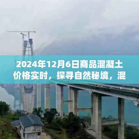 混凝土价格实时更新，探寻自然秘境，启程寻找内心的宁静与和谐之旅