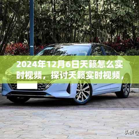 天籁实时视频体验,探讨2024年12月6日的视听新境界