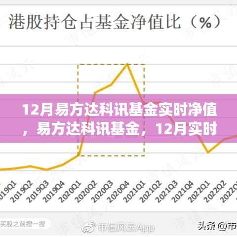 易方达科讯基金实时净值解析与领域地位深度探讨（12月版）