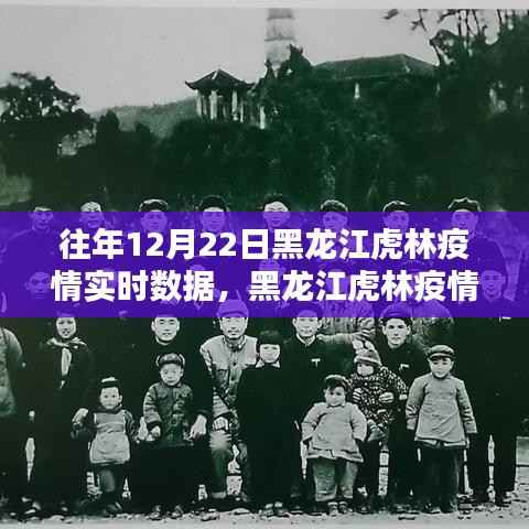 黑龙江虎林疫情回顾,往年12月22日实时数据与影响分析