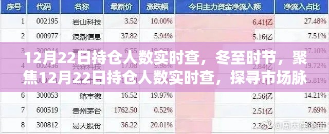 冬至市场脉动观察,聚焦12月22日持仓人数实时查,探寻市场影响与动态