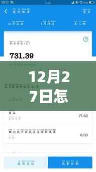 12月27日转账实时到账指南,追寻自然美景的治愈之旅