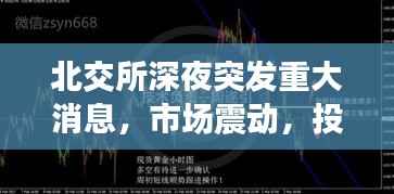 北交所深夜突发重大消息,市场震动,投资者必看!