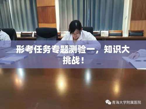 形考任务专题测验一,知识大挑战!