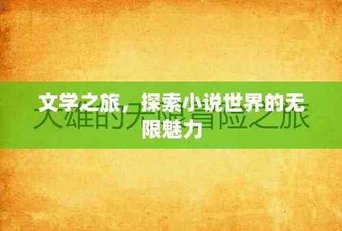 文学之旅,探索小说世界的无限魅力