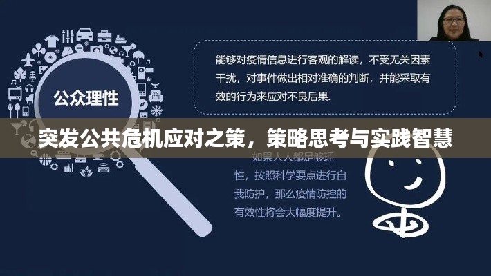 突发公共危机应对之策,策略思考与实践智慧