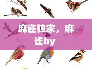 麻雀独家,麻雀by