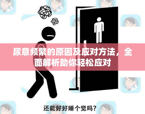 尿意频繁的原因及应对方法,全面解析助你轻松应对