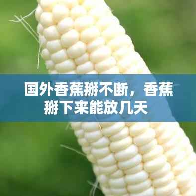 国外香蕉掰不断,香蕉掰下来能放几天