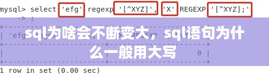 sql为啥会不断变大,sql语句为什么一般用大写