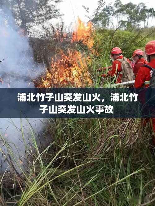 浦北竹子山突发山火,浦北竹子山突发山火事故