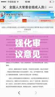 强化审议意见落实，推动决策执行的核心枢纽