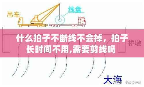 什么拍子不断线不会掉,拍子长时间不用,需要剪线吗