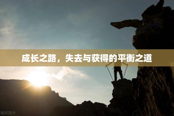 成长之路，失去与获得的平衡之道