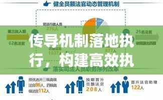 传导机制落地执行,构建高效执行体系的核心秘诀