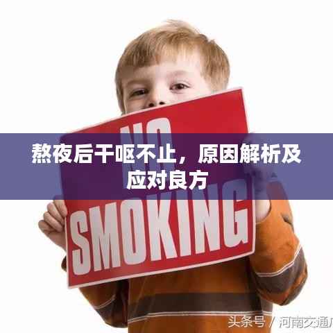 熬夜后干呕不止,原因解析及应对良方