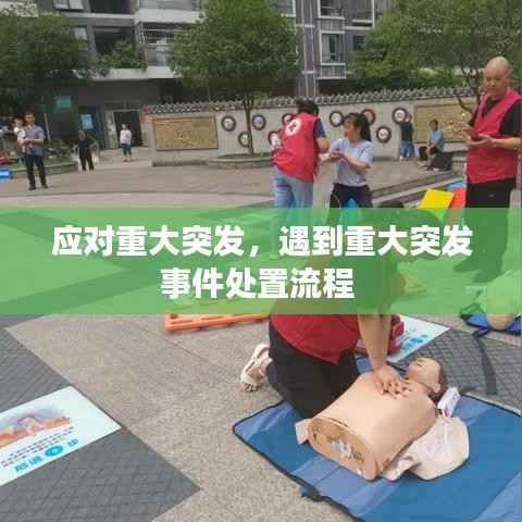 应对重大突发,遇到重大突发事件处置流程