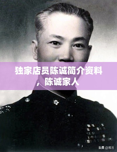 独家店员陈诚简介资料，陈诚家人 