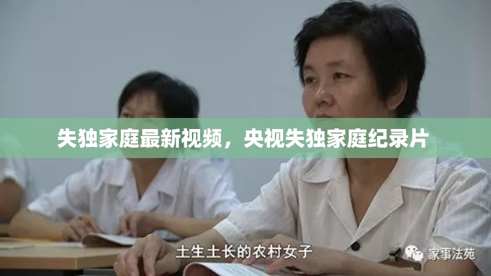 失独家庭最新视频,央视失独家庭纪录片