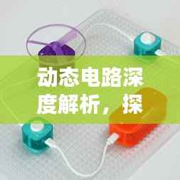 动态电路深度解析，探究电路动态行为专题1