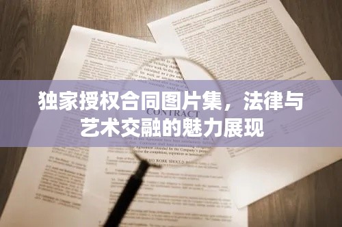 独家授权合同图片集,法律与艺术交融的魅力展现